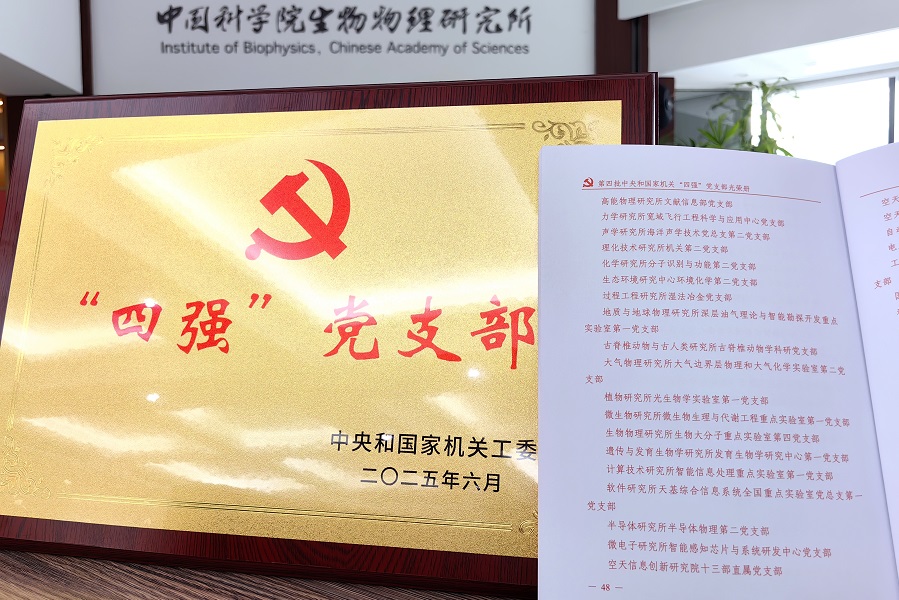 喜报！生物大分子重点实验室第四党支部和7名党员分获中央和国家机关“四强”党支部和“四好”党员
