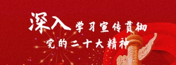 深入学习宣传贯彻党的二十大精神
